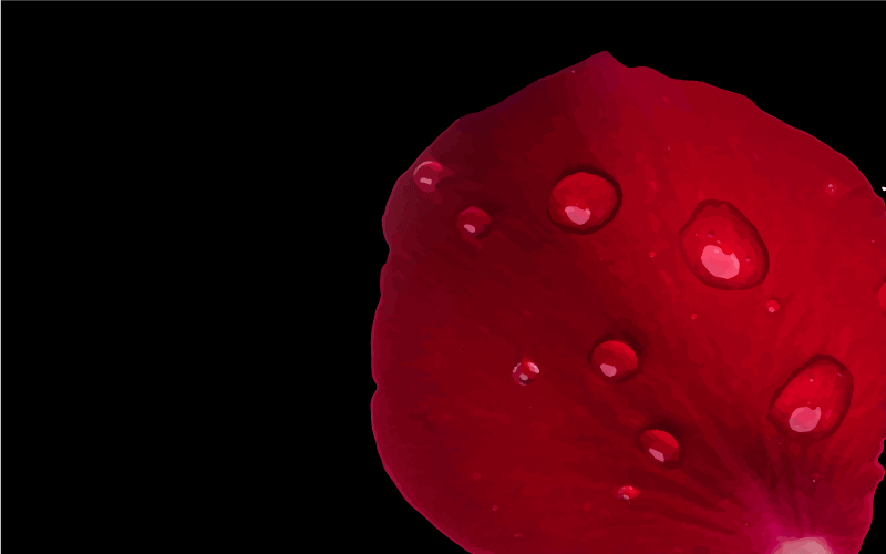 Alfombra vinilo salón glamour de pétalos rojos - TenVinilo