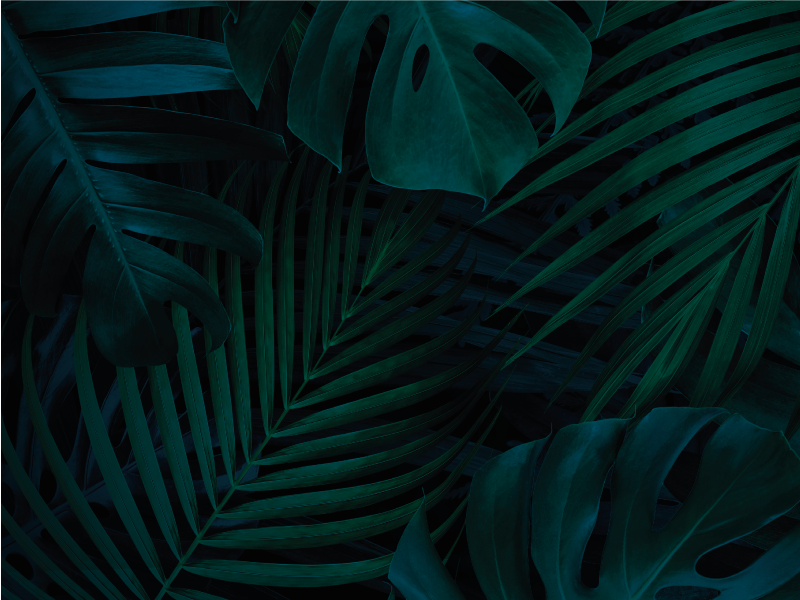 Alfombra vinilo flores follaje tropical - TenVinilo