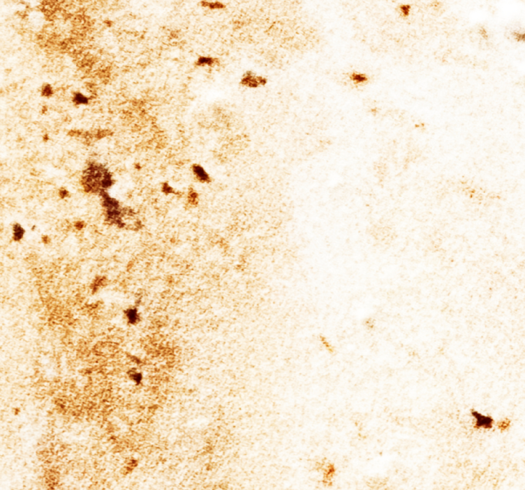 Papel pintado mármol estética de piedra natural - TenVinilo