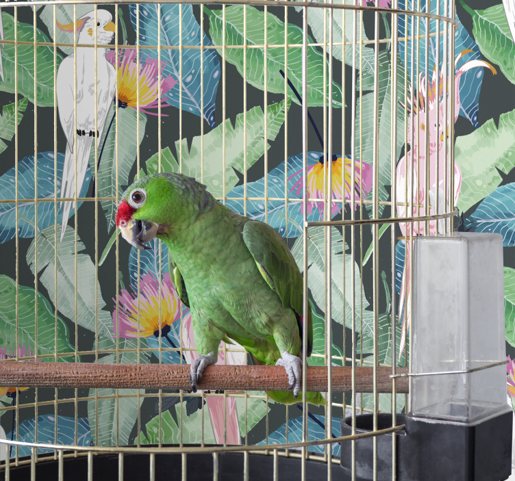 Papel pintado pájaros tropicales y hojas - TenVinilo